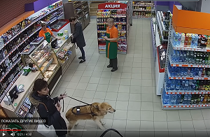 Прокуратура проверит инцидент с незрячей девушкой, которую не пустили в магазин из-за собаки-поводыря
