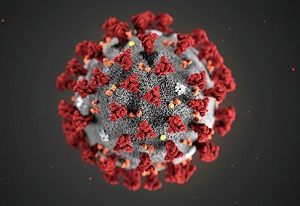 Как правильно следить за коронавирусом