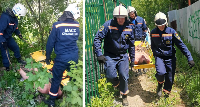 Голый мужчина в неадекватном состоянии ползал по оврагу в Новосибирске