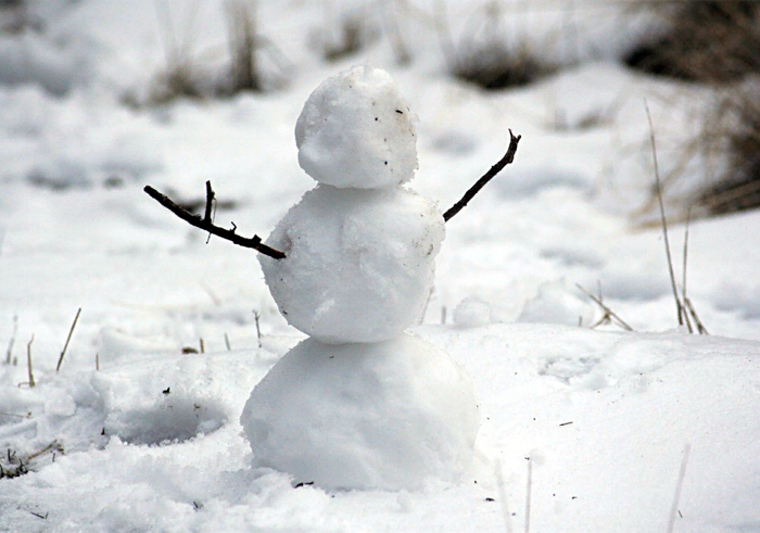 Проведут уроки снега и слепят снежных баб в Новосибирске