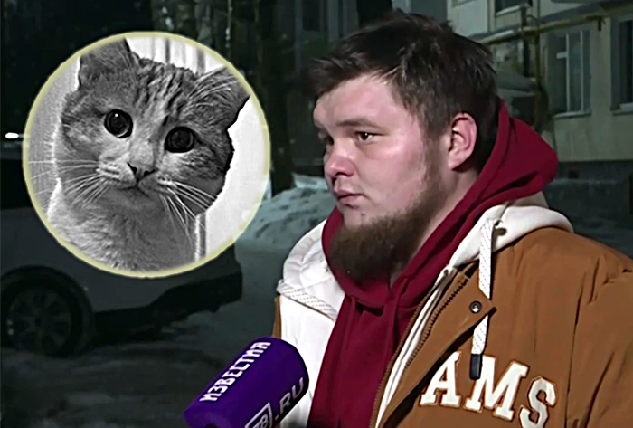 Хозяин выброшенного из поезда кота Твикса рассказал подробности произошедшего – видео