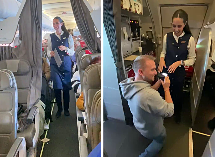 Пассажир авиакомпании Iberia во время полета сделал предложение стюардессе