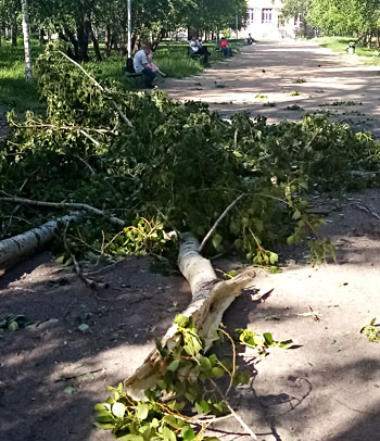 Сильный ураган прошёл по Сибири и Уралу