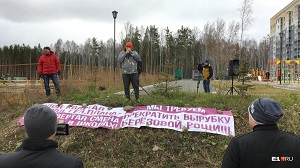 «Атомстройкомплекс» потребовал у прокуратуры разобраться с участниками протестов против вырубки Березовой рощи