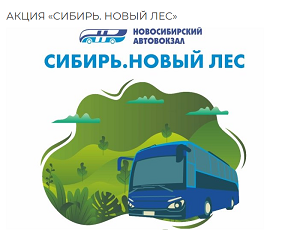 Новосибирский автовокзал направит часть денег от продажи билетов на восстановление сибирских лесов