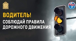 В Москве проведут конкурс видеоуроков о безопасности на дорогах