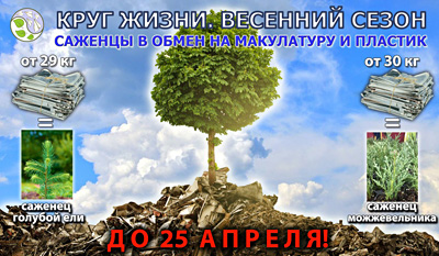 Макулатуру на деревья меняют в Новосибирске