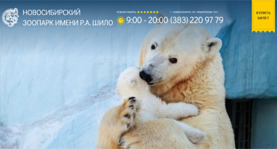 Купить билет в новосибирский зоопарк стало возможным онлайн