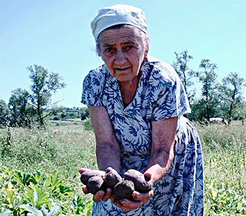 У пенсионерки в Бурятии закончились продукты и она вызвала Росгвардию