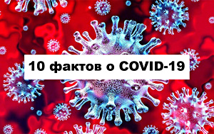 10 фактов о COVID-19