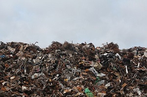 Строительство мусорного полигона в Искитимском районе: вопрос открытый