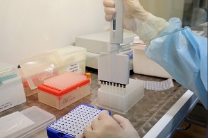 Клинический центр крови в Новосибирске будет делать тесты на ковид