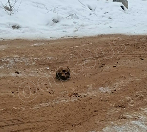 Песком с человеческими останками посыпали улицы в Иркутской области