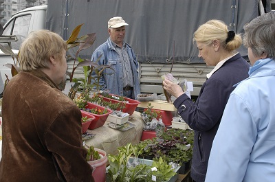 Ярмарка для садоводов и огородников будет работать в Дзержинском районе