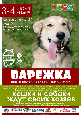 Собаки и кошки смогут найти новый дом и хозяев в Новосибирске