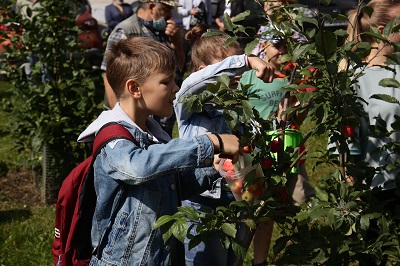 Урожай яблок и клумбы во дворах: новосибирские ТОСы подводят итоги летнего сезона