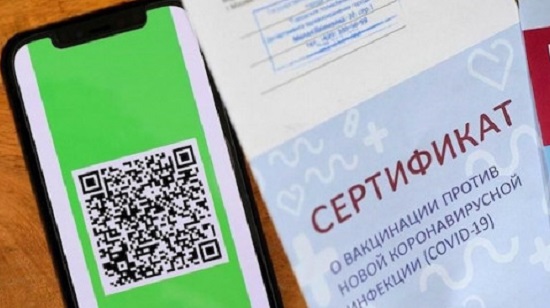 Срок внедрения QR-кодов перенесли в Новосибирске и области