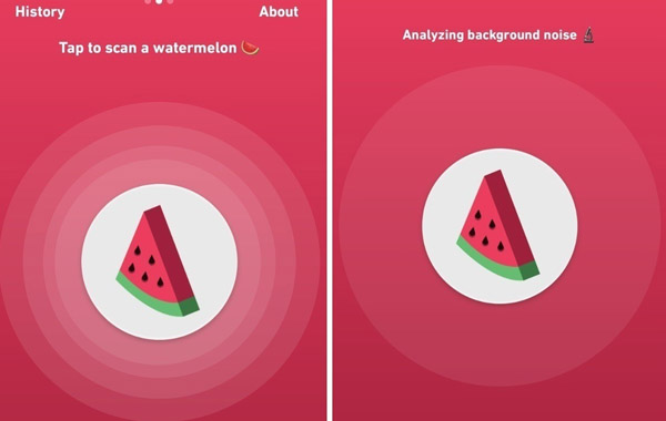 World First Watermelon Ripeness