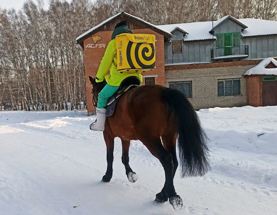 Курьер службы доставки на лошади удивил прохожих в Бердске
