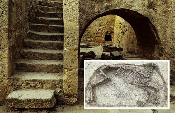Загадочный скелет лошади без головы нашли археологи на древнем кладбище в Германии