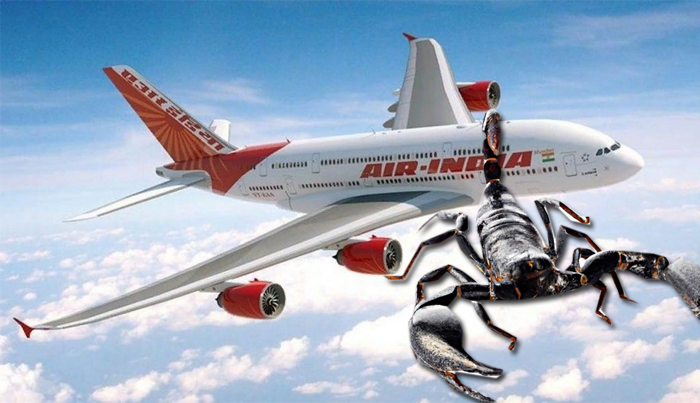 На пассажирку рейса Air India во время полета набросился скорпион – женщину госпитализировали