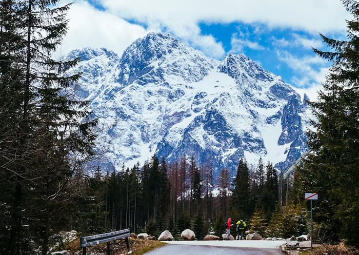 Чуйский тракт на Алтае станет национальным туристическим маршрутом Сибири