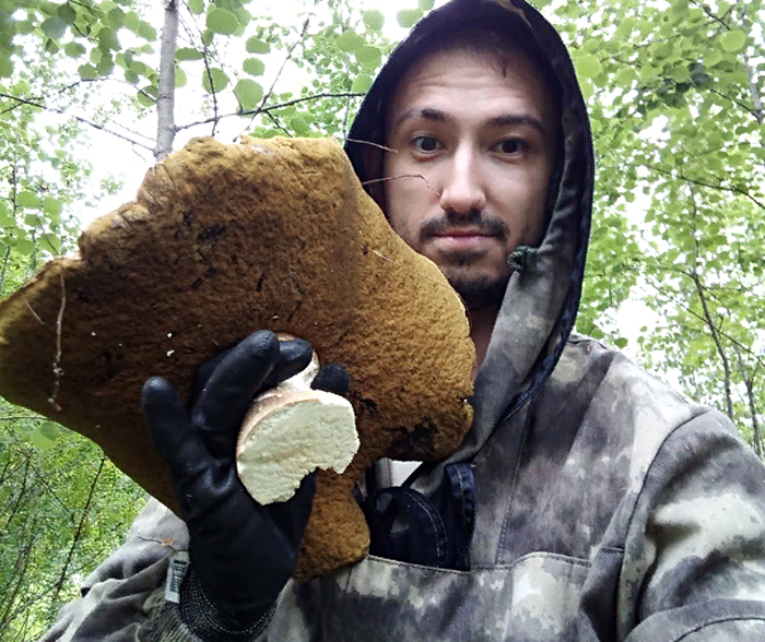 Огромный белый гриб размером с полголовы нашел новосибирец в Кольцово