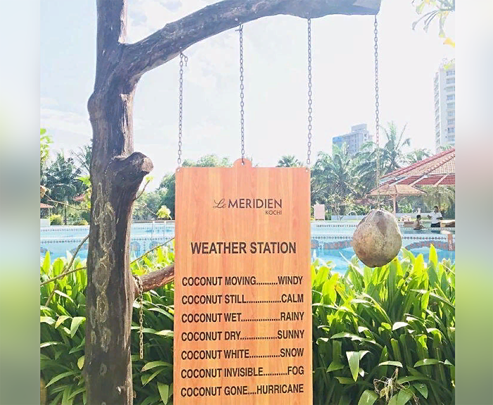 Если кокос двигается, значит ветрено – прогноз погоды в кокосах передают отели в Индии и на Гавайях