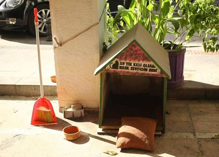 Домики для кошек на улицах Стамбула