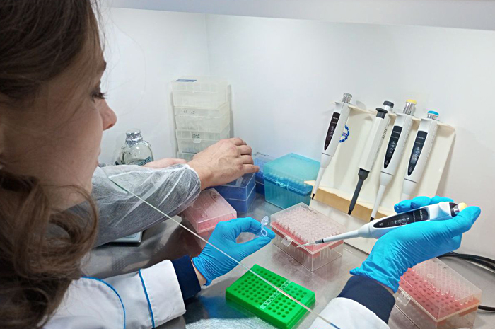 Ученые из Новосибирска первые научились определять рак по капле крови