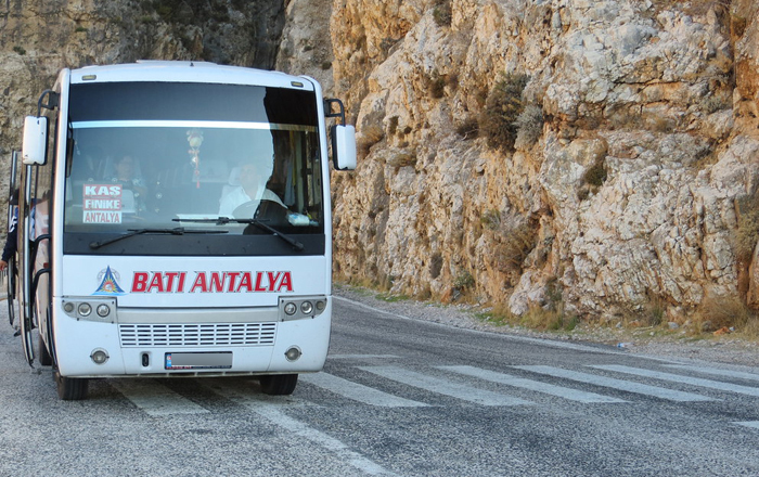 25 туристов из Южной Кореи пытались потушить экскурсионный автобус в Турции