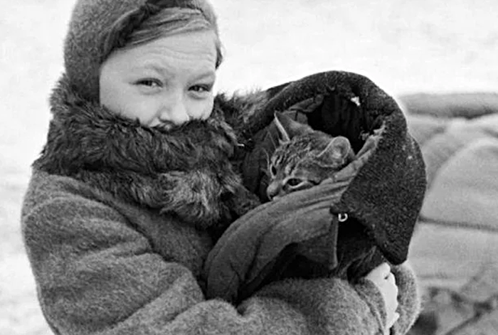 кошки в блокадном Ленинграде