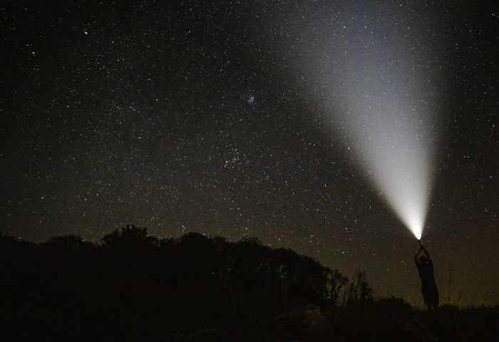 Наблюдательная астрономия – комета PanSTARRS появится в небе над Новосибирском в День всех влюбленных