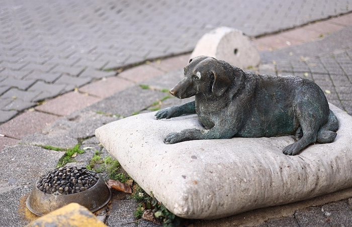 Памятник собаке Тарчин в Стамбуле