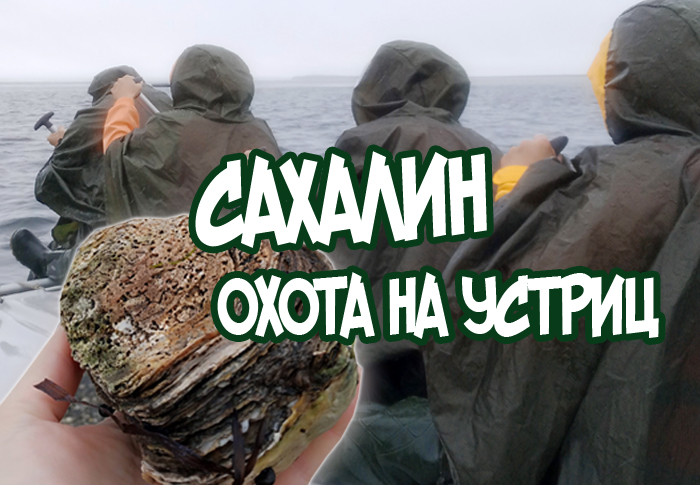 Сахалин: путешествие туда и обратно. Охота на устриц